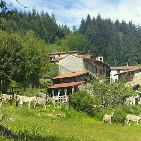 L'essiccatoio