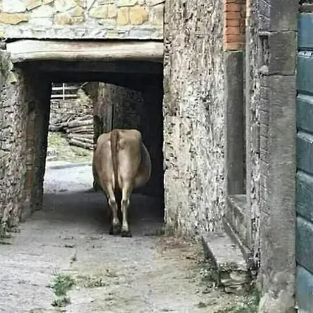 L'essiccatoio 別荘